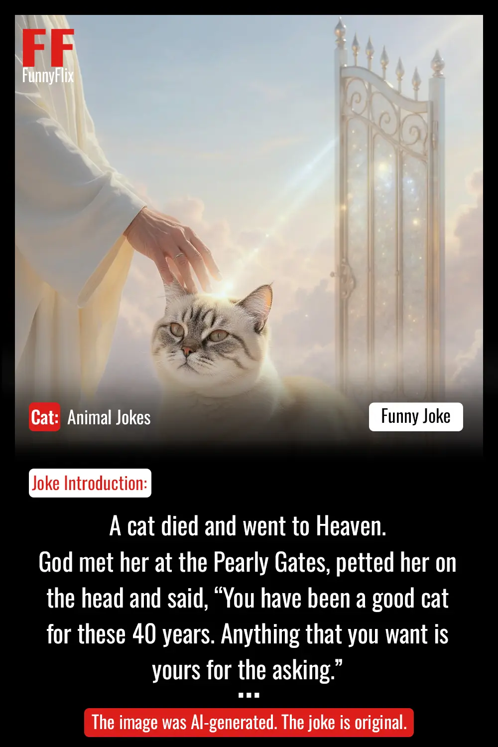 God And Cat